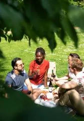 Picnic